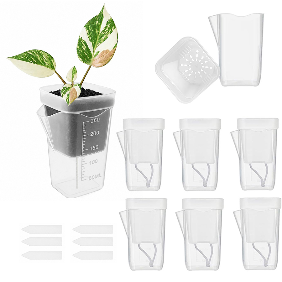 Plant Parent Kit - 12/24PCS Self Watering Succulent Plant Pot