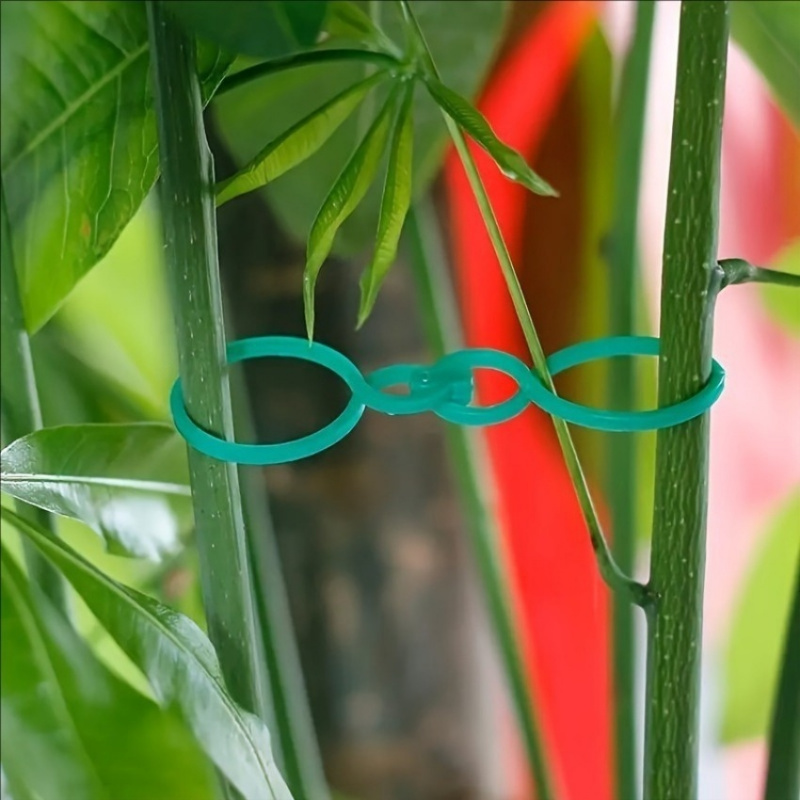 125Pcs Garden Plant Support Ki - Plant Parent Kit 评论和价格