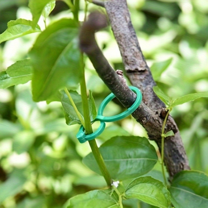 125Pcs Garden Plant Support Ki - Plant Parent Kit 评论和价格