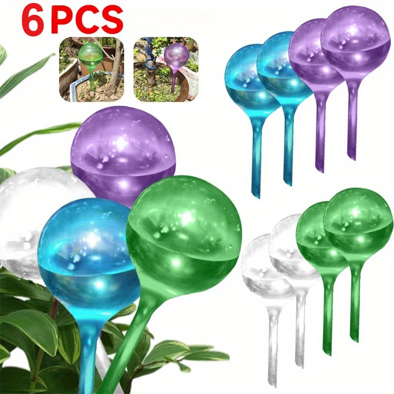 6PCS Indoor Plants Self Wateri - Plant Parent Kit 评论和价格