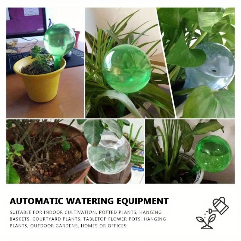 6PCS Indoor Plants Self Wateri - Plant Parent Kit 评论和价格