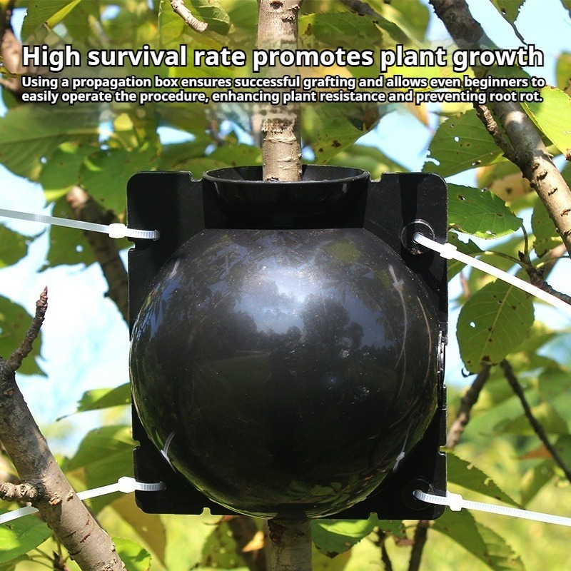 10pcs Plant Propagation Kit: H - Plant Parent Kit 评论和价格