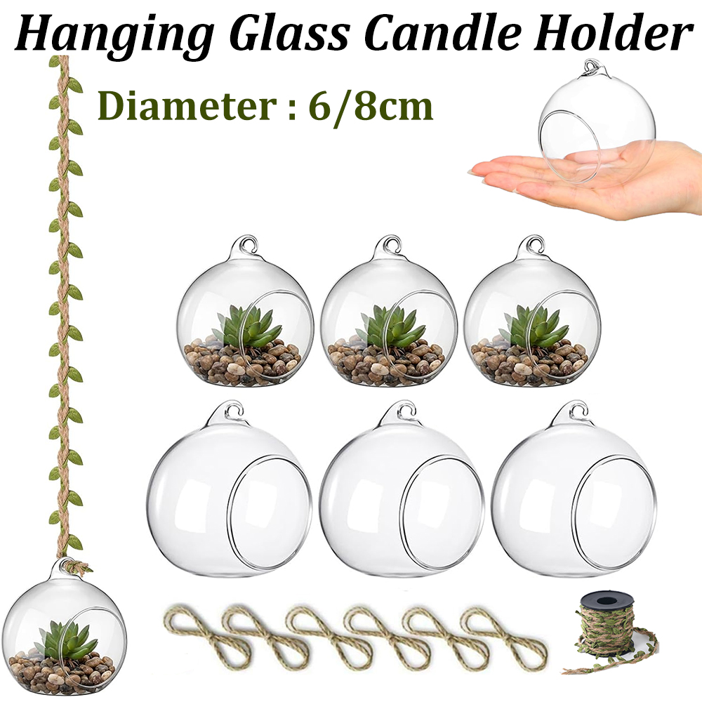 Glass Hanging Orbs Fillable Cl - Plant Parenting 评论和价格