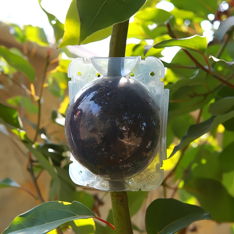 10Pcs High Pressure Plant Root - Plant Parent Kit 评论和价格