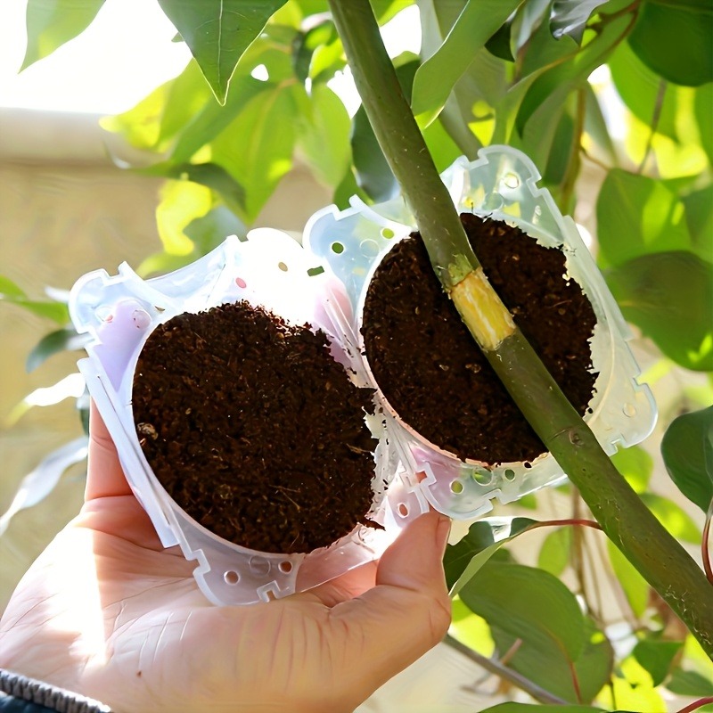 10Pcs High Pressure Plant Root - Plant Parent Kit 评论和价格